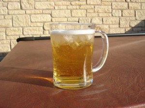 Garden Blog 2013 064