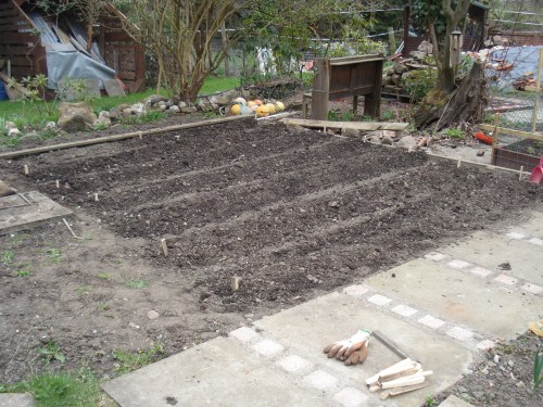 All haunched up and ready to grow!