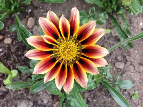 This just makes me smile